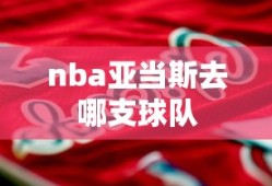 nba亚当斯去哪支球队