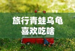 旅行青蛙乌龟喜欢吃啥