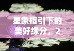 最好看免费中文字幕电影大全
