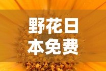 野花日本免费完整版高清版8的功能介绍