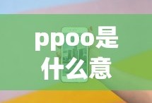 ppoo是什么意思