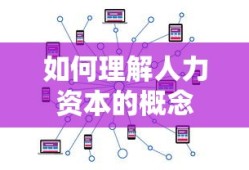 理解人力资本的概念，定义与重要性