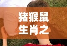千与千寻国语版免费观看的