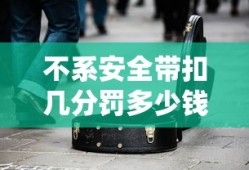 不系安全带扣几分罚多少钱