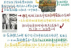 战就战攻略，策略、技巧与胜利之路