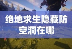 张艺冬
