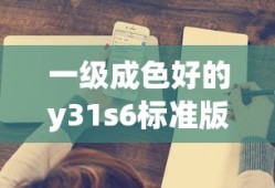一级成色好的y31s6标准版