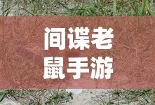 魔剑镇魂曲英雄之泪