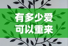 有多少爱可以重来歌词