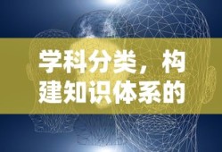 19年新番排名