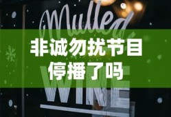 非诚勿扰节目停播了吗