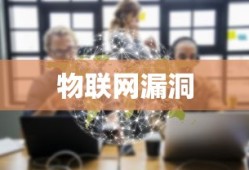 物联网的漏洞及其挑战