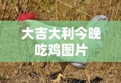 大吉大利今晚吃鸡图片