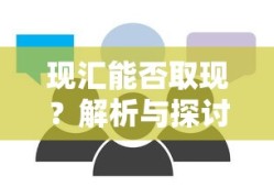 现汇取现解析与探讨