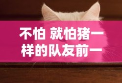 街机三国礼包码