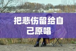 把悲伤留给自己原唱