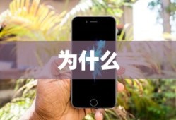 解决PremierePro调色后视频画面偏色问题的方法