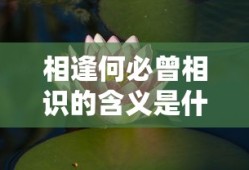 相逢何必曾相识的含义是什么