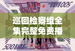 巡回检察组全集完整免费播放下载