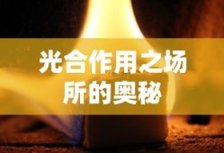 山西省行政区划地图