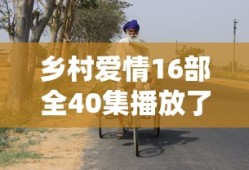 乡村爱情16部全40集播放了吗