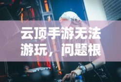 云顶手游无法游玩，问题根源与解决方案探索