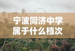宁波同济中学属于什么档次