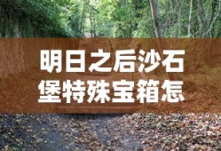 明日之后沙石堡特殊宝箱怎么开