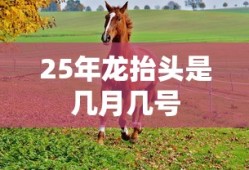 25年龙抬头是几月几号