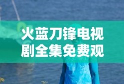 火蓝刀锋电视剧全集免费观看高清