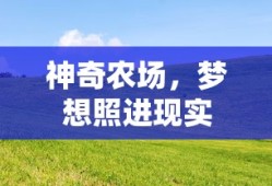 神奇农场，梦想照进现实