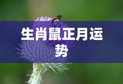 探索无限，新纪元无限金币手游软件之旅