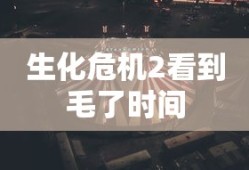 生化危机2看到毛了时间