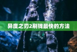异度之刃2刷钱最快的方法