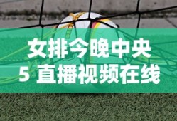 女排今晚中央5 直播视频在线观看