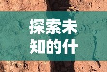 探索未知的神秘石级