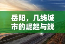 民兵葛二蛋电视剧全集免费观看