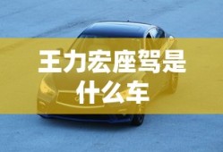 王力宏座驾是什么车