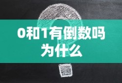 0和1有倒数吗为什么