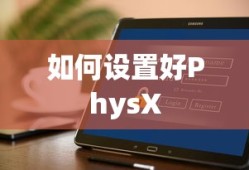 PhysX设置指南