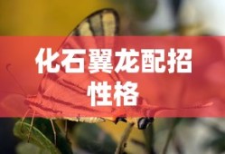 化石翼龙配招性格