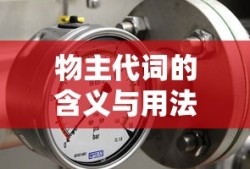物主代词，含义与用法详解