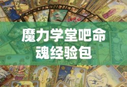 魔力学堂吧命魂经验包