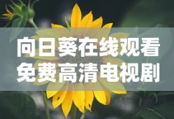 向日葵在线观看免费高清电视剧