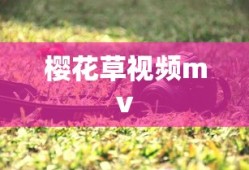 樱花草视频mv