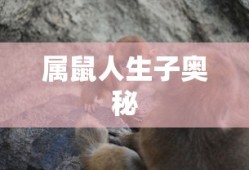 孟祥瑞百度