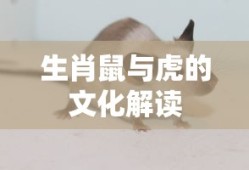 何俊毅游泳