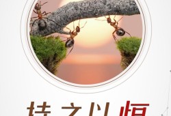 三期必出，持续发展的力量与承诺