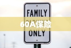 60A保险