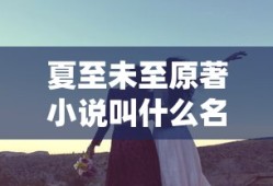 夏至未至原著小说叫什么名字